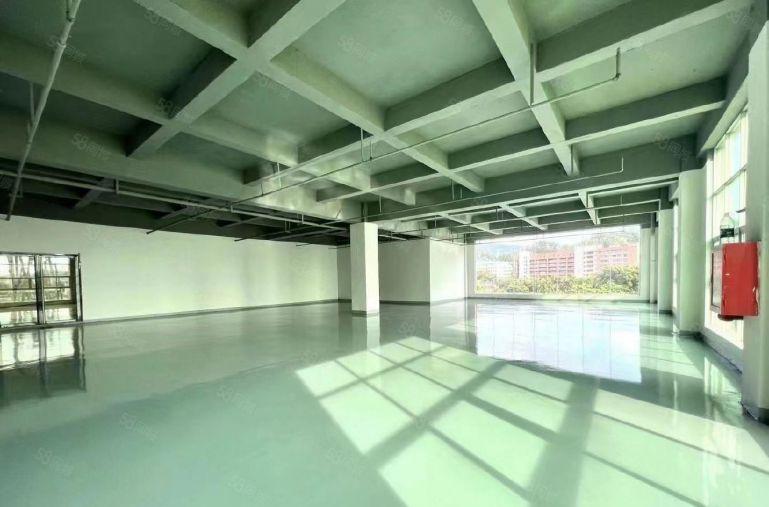 坂田岗头地铁站大型电商园100平~500平办公室仓库出租