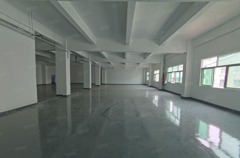 坂田原房东厂房一楼仓库，楼上电商厂房出租可分租小面积价格低