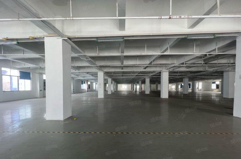 龙岗宝龙科技园红本厂房仓库6800平可分租带丙类消防场地大