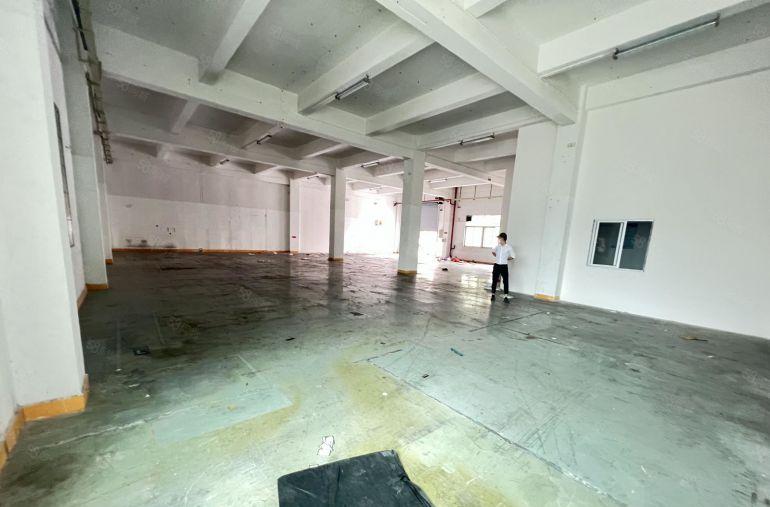 龙岗区坪地街道大型工业区2000平一楼标准厂房低价出租可分租