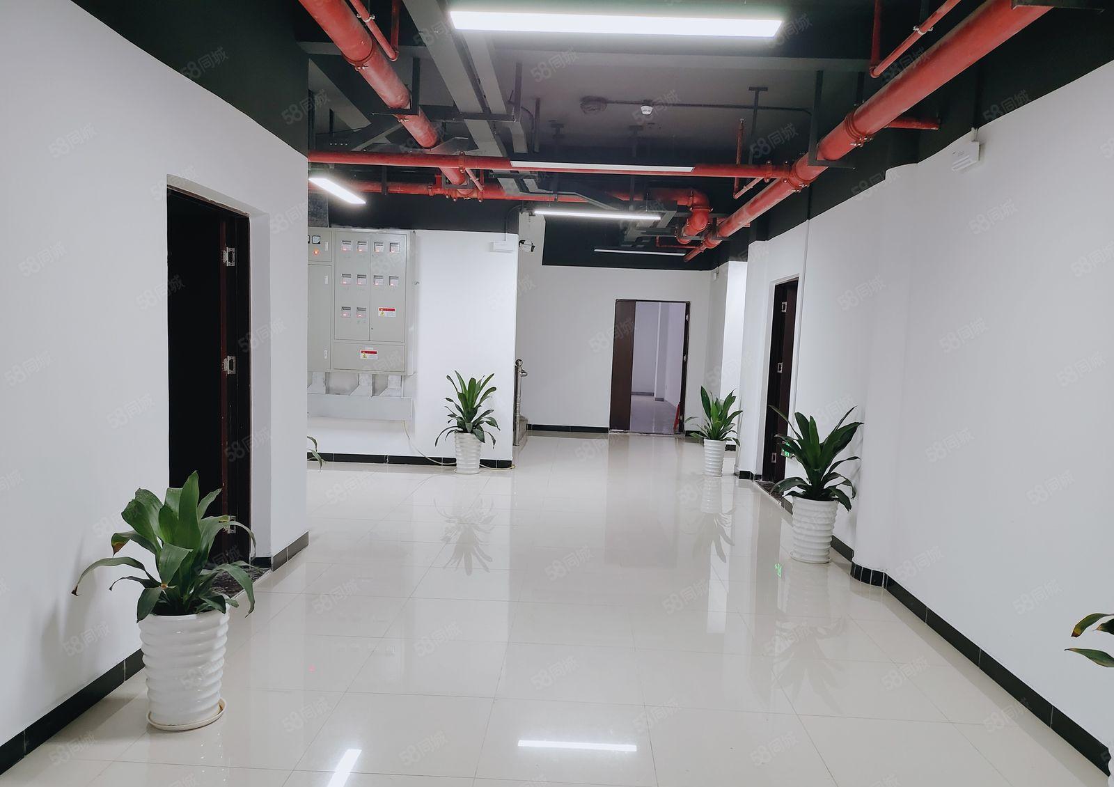 300平起租龙岗中心城电商园1600平办公室厂房仓库出租拎包