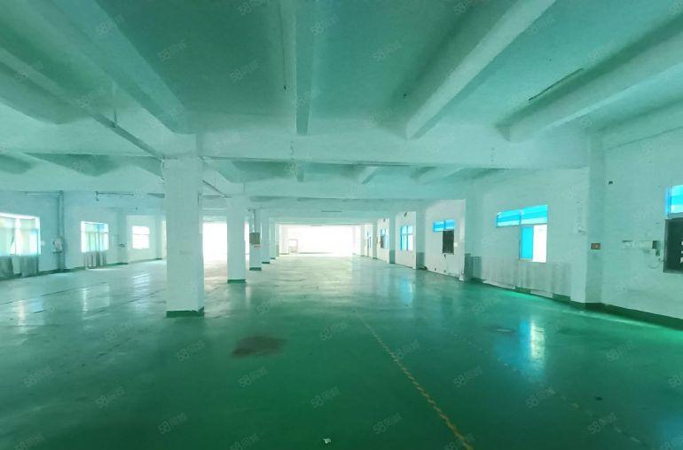 实际面积 坂田大工业园一楼二楼各1500平仓库厂房出租可分租