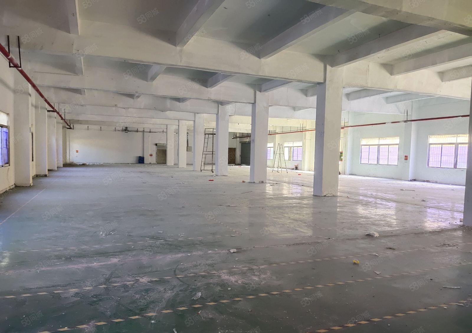 平湖新木工业区一楼2百5百8百1千平原房东仓库厂房出租可分租