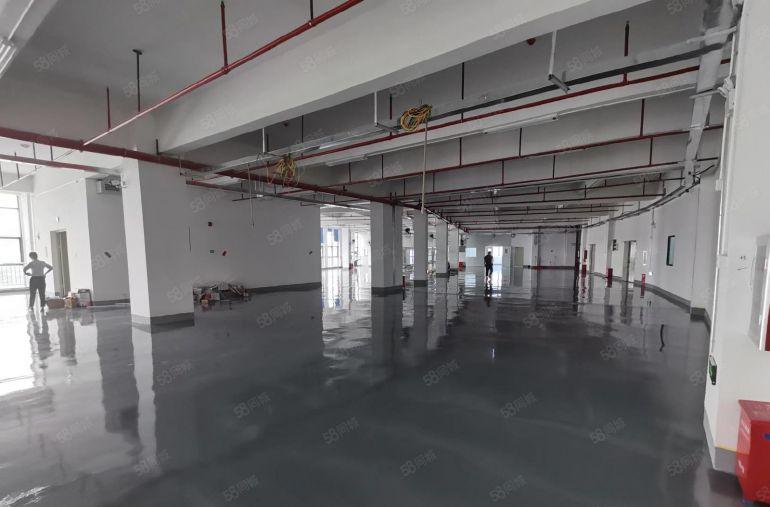 龙岗宝龙原房东工业园新出单层面积3200平厂房出租可分租一楼