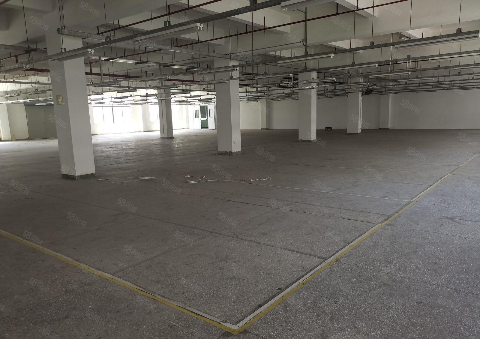 横岗六约新出楼上1500平厂房形象好位置方便300平起分租