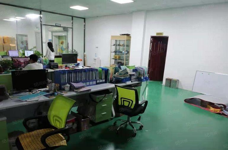 300平起分坪地低碳城原房东2000平精装修厂房一楼5.2米