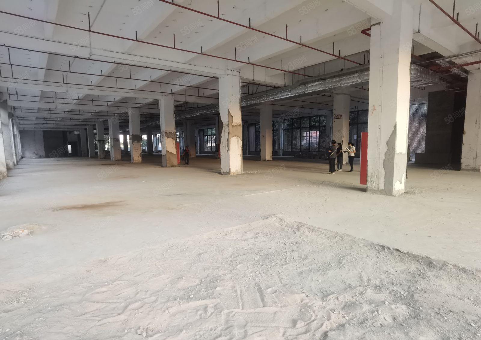 坂田原房东带红本厂房出租60000平