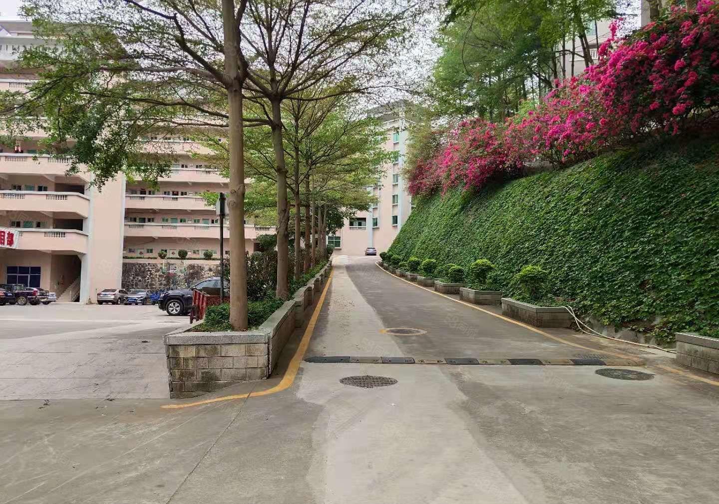 空地超大，坪地六联新空出原房东红本独院5000平方厂房出租