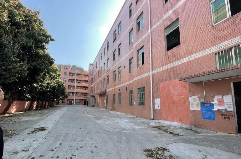 平湖华南城地铁口原房东100平1800平精装修厂房仓库出租