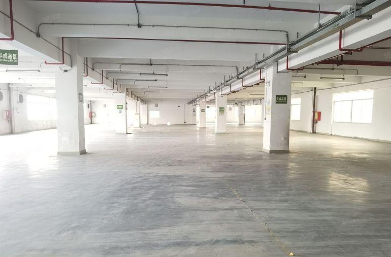 龙岗宝龙同乐工业区红本厂房仓库1200平可分租可办环评易招工