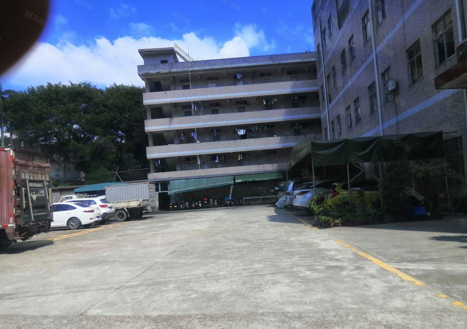 龙岗镇龙东厂房一楼580平方米价格25元宿舍按需好招工