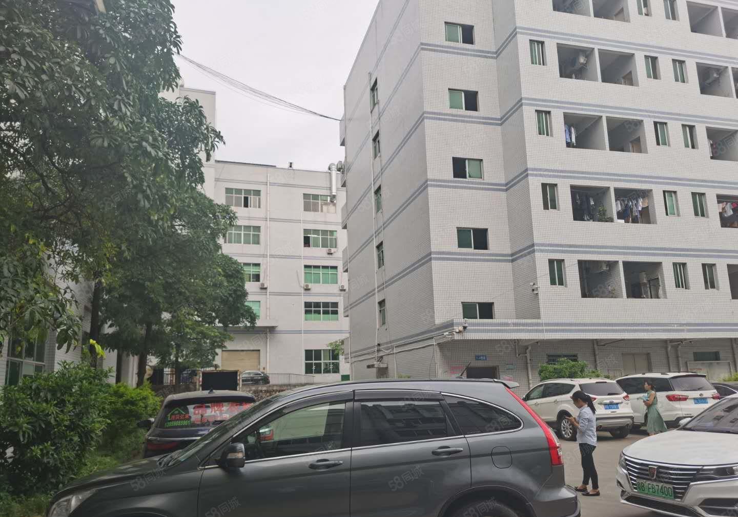 23元起租平湖山厦厂房仓库出租高速出口500米空地大交通便利