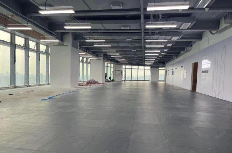 免租期起开发商直租 星河双子塔  企业总部选址 补贴