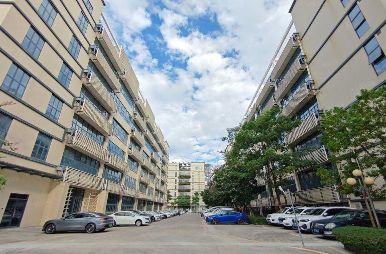 100平起租I横岗精装修电商厂房办公室仓库出租