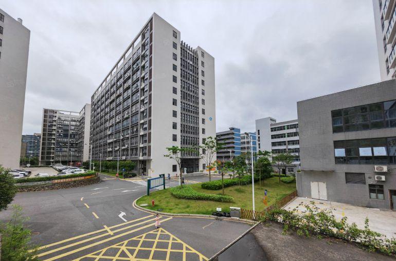 龙岗原房东直租免租6个月实际面积出租1000平方厂房仓库出租