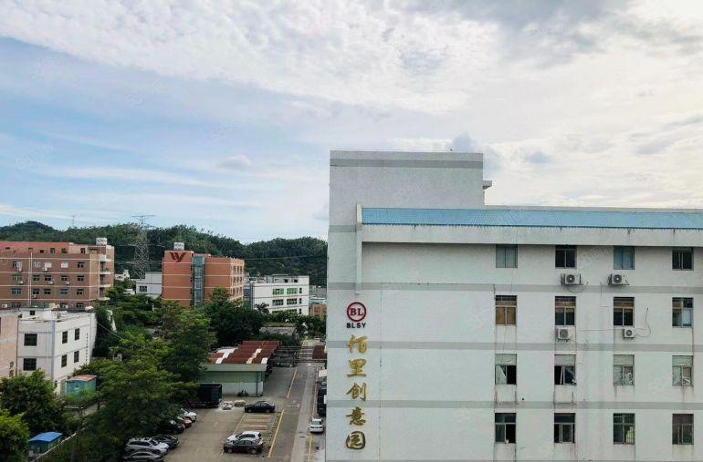 横岗六约六和路310平米现成装修珠宝厂房出租