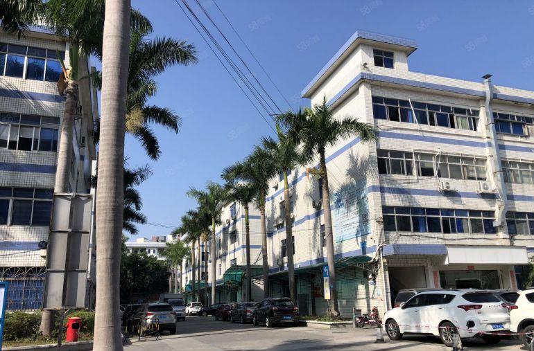 笋盘原房东带红本南联科技园新出300平精装修办公仓库厂房出租