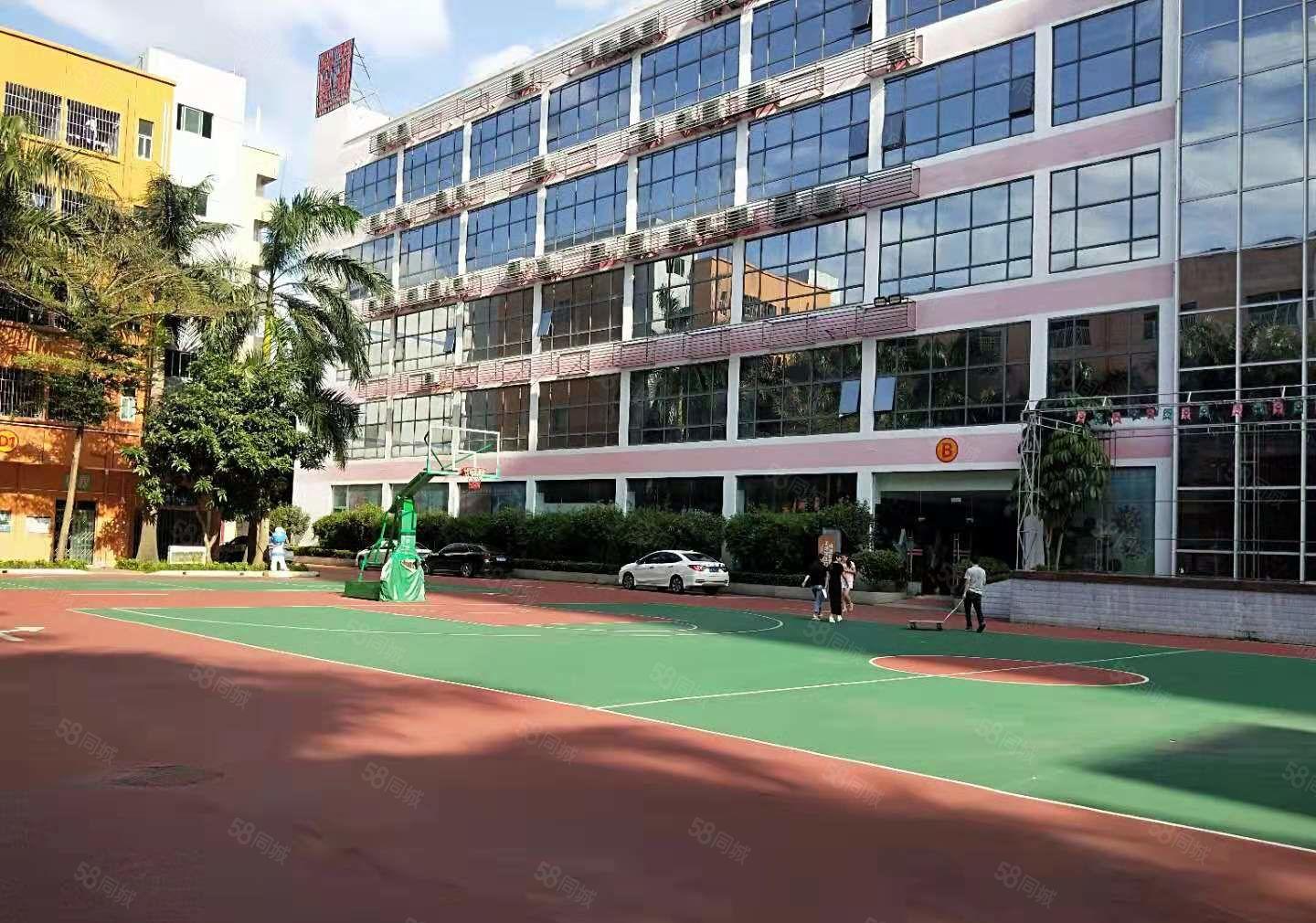 可分租，南联精装修1000平整层电商办公厂房仓库出租！有红本