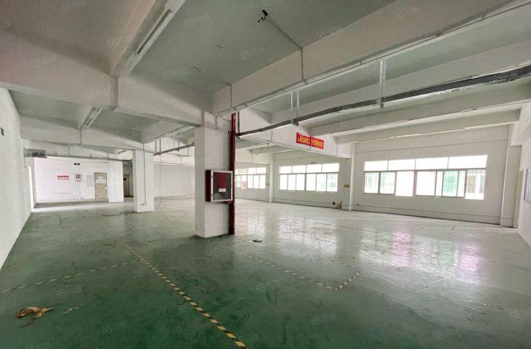 稀有房源！近坂田地铁口1000平厂房带装修出租！