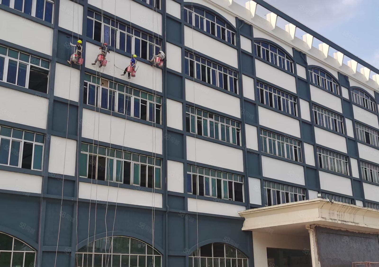 龙岗中心城独栋二栋厂房各6800m2一栋12500m2分租