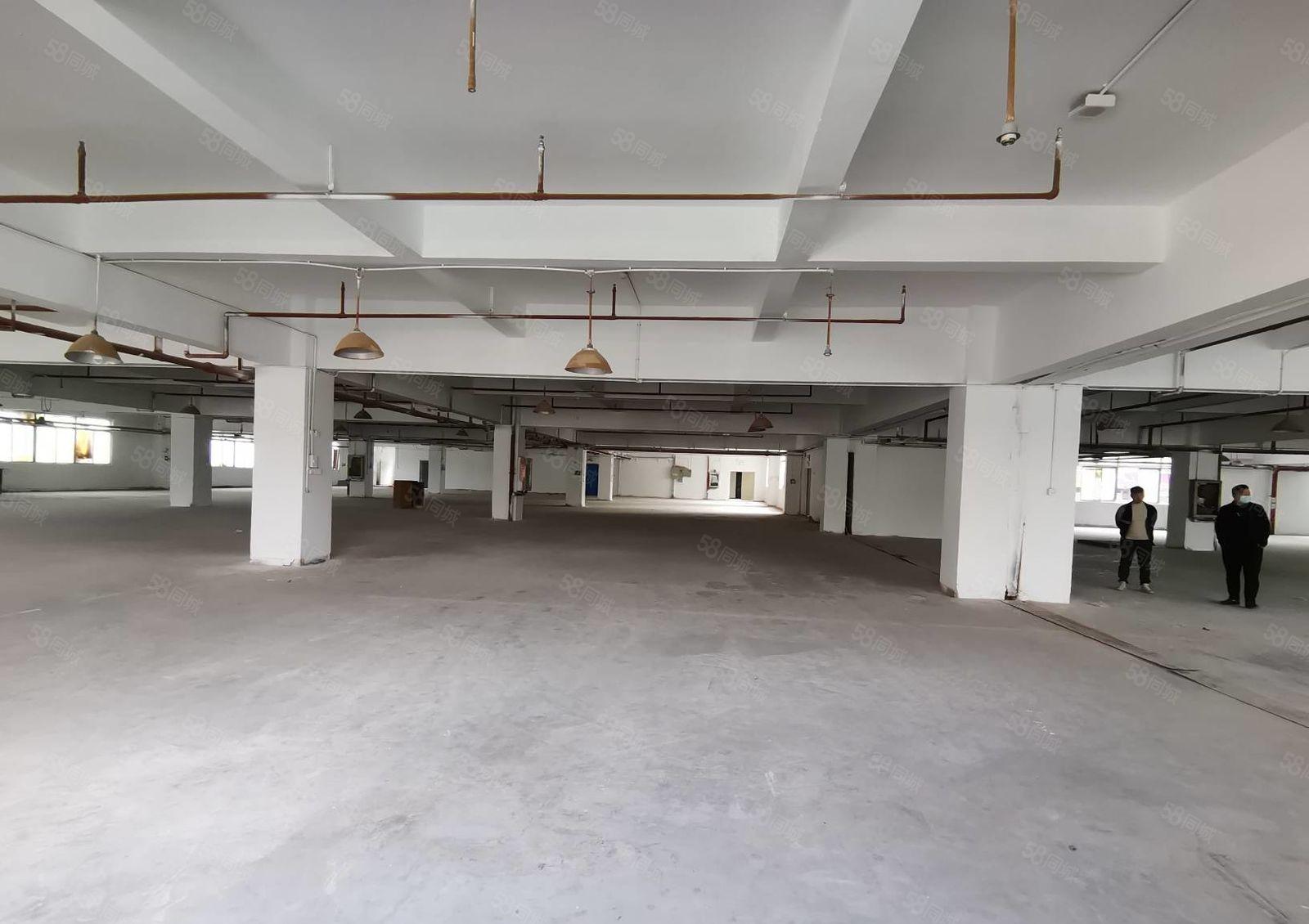 深圳市龙岗区同乐原房东独门独院厂房出租交通便利周边设施齐全