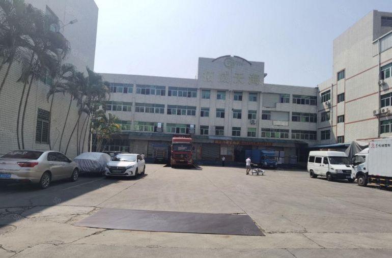 坂田原房东2000平花园式厂房出租仓库出租300平起分租