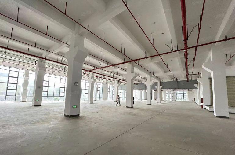 平湖辅城坳独门独院厂房一楼仓库2000平出租带牛角