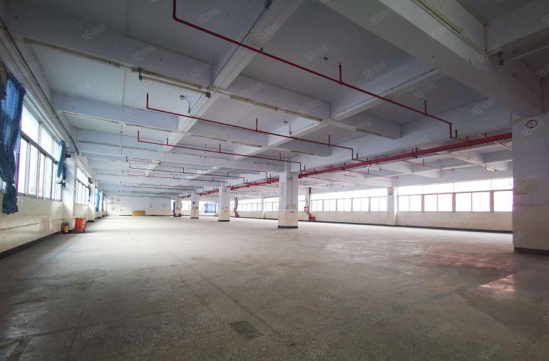 坂田上雪原房东红本1000平厂房出租带精装修可分租八成使用率