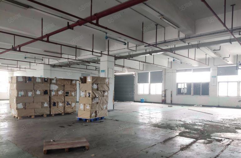 平湖辅城坳楼上1000平厂房仓库出租，带装修可分租