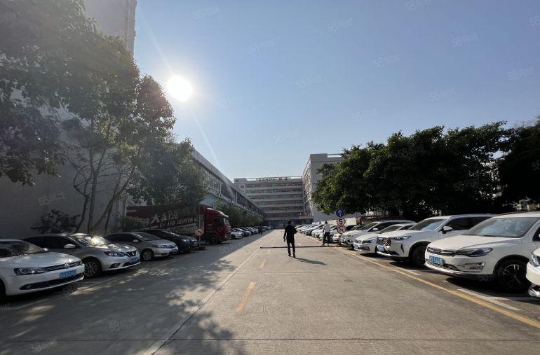 分租平湖良安田独门独院厂房1380平出租带地坪漆空地大好招工