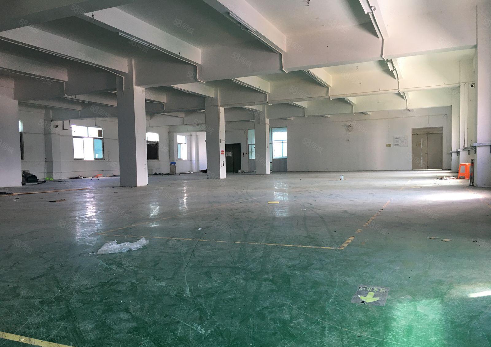 平湖新木工业园独院2百平5百平8百平1千平仓库厂房出租可分租