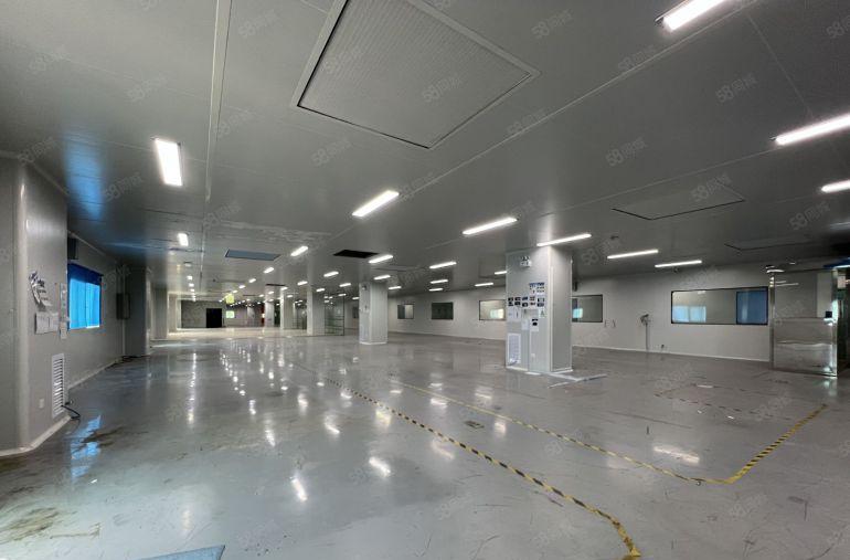 永湖地铁口10万级无尘车间3000平厂房出租1000平起分租