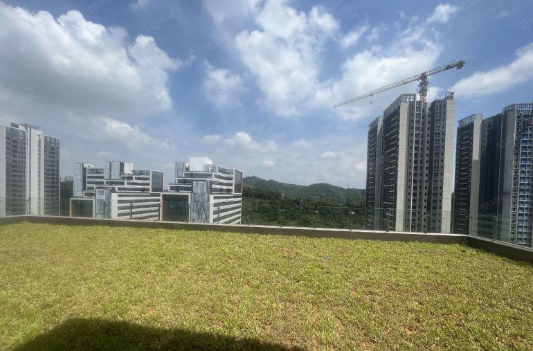 开发商实际面积出租，龙岗区园山新型生物医药厂房，带有废水排放