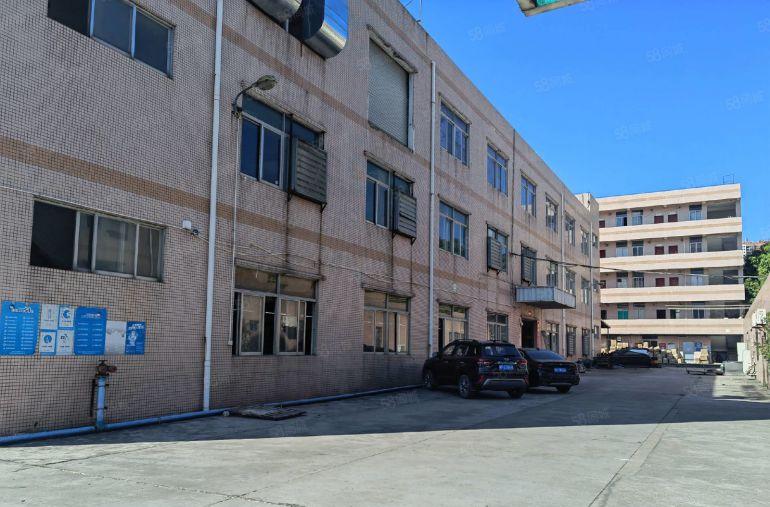 平湖独院新出一楼1580平方厂房仓库出租可分租空地大交通方便