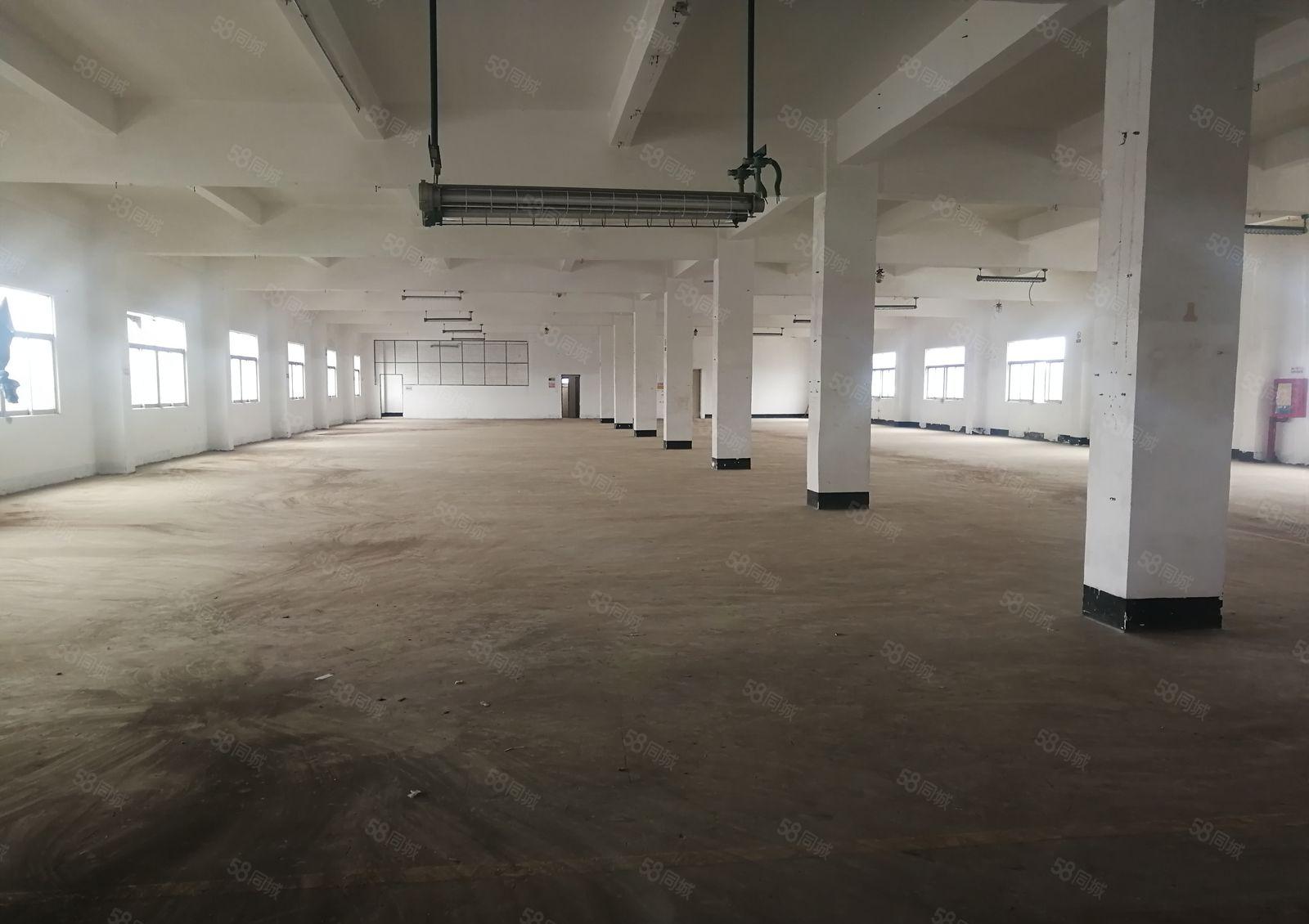 龙岗南联地铁口新出标准一楼厂房1000平米原房东