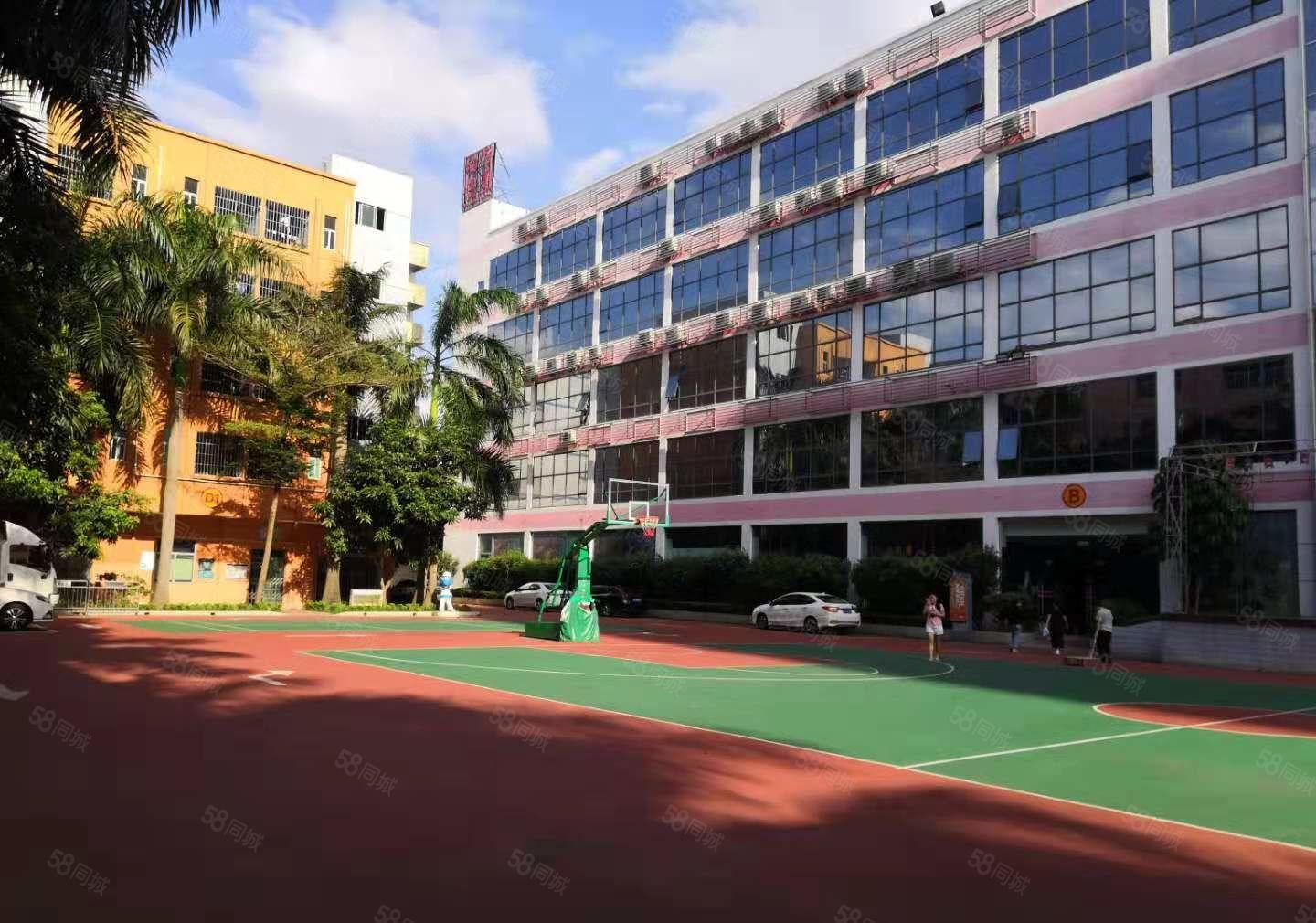 可分租，南联精装修1000平整层电商办公厂房仓库出租！有红本