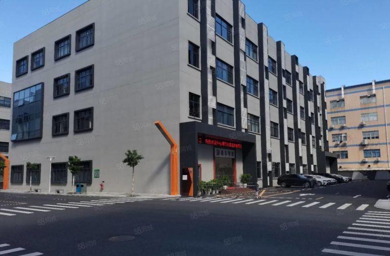 坂田岗头电商园厂房200平300平起层分租 可做办公仓库出租