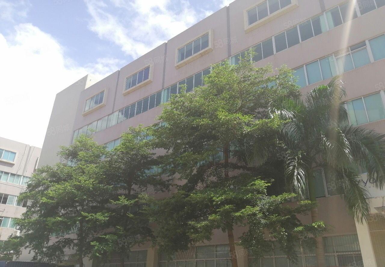 原房东1000平龙岗坪地厂房出租外环高速路口边带卸货平台