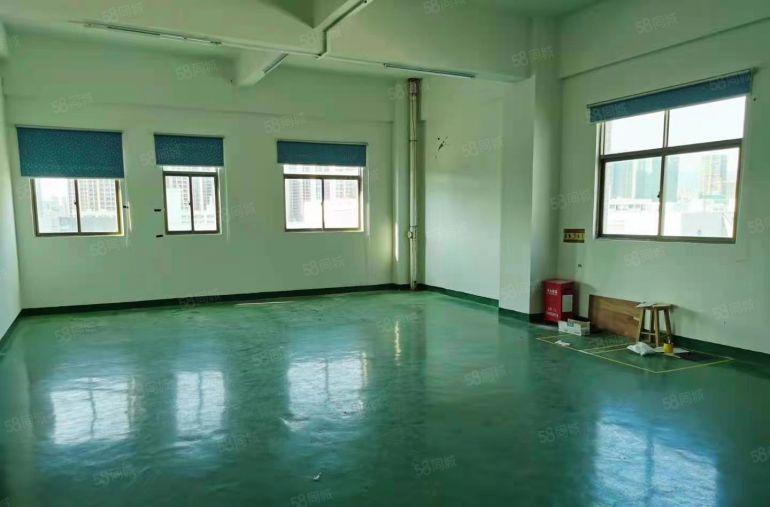 龙岗同乐工业区新出楼上600平现成装修办公室厂房低价出租