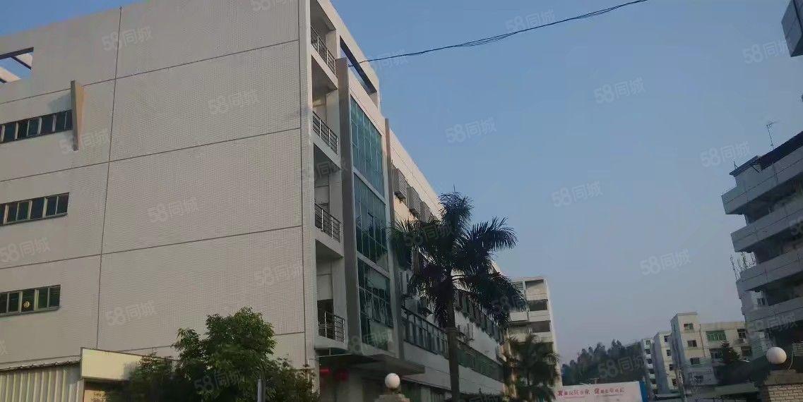 S龙岗独院厂房5000平方可以分租