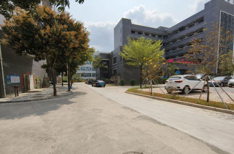 500平起分  龙岗宝龙红本厂房仓库低价出租1000平方