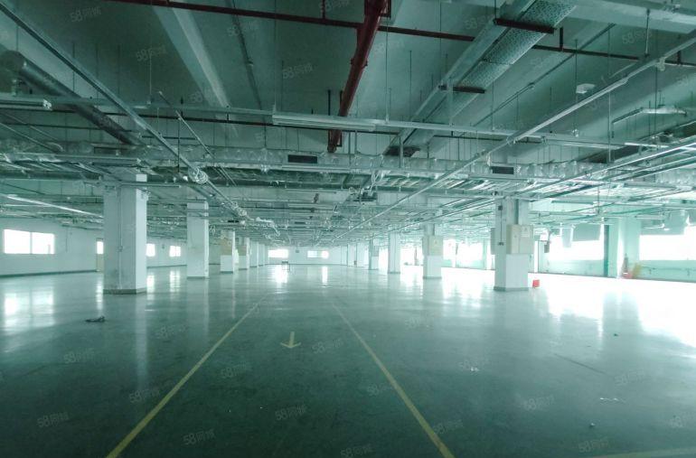 宝龙16号线高新产业园5000平厂房仓库出租原房东红本面积