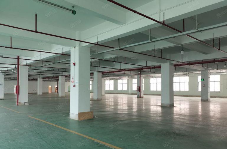 平湖鹅公岭工业区新出独院5000平厂房仓库出租500平起租