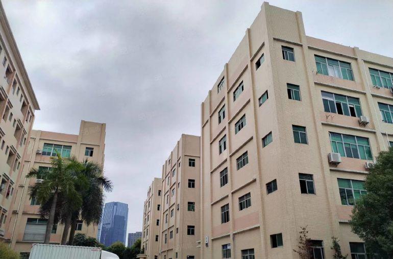 低价坂田贝尔路200平300平500平包装修仓库办公出租