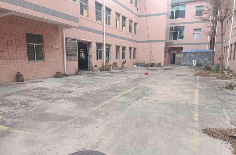 龙岗坪地坪东原房东独院厂房1800平带装修有电梯