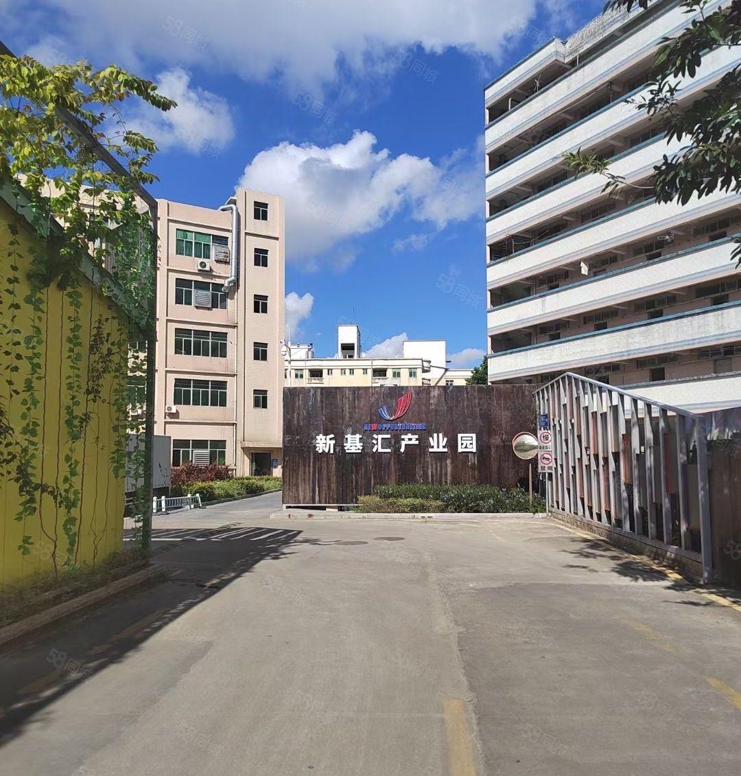 坂田环城路工业厂房5楼1350平方带装修，无转让费