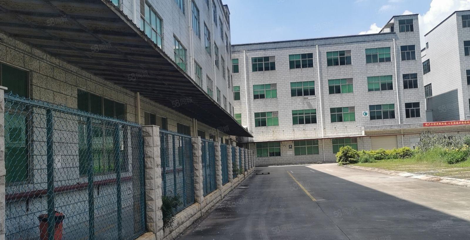 宝龙原房东独院原房东红本60000平厂房仓库出租可整租可分租