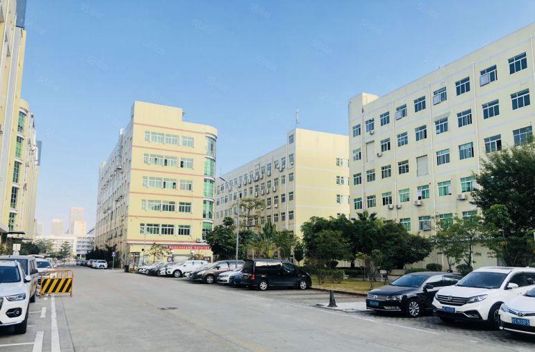 龙岗同乐新布工业园楼上500平带装修办公室厂房实际面积出租