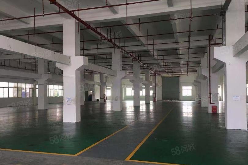 龙岗达成工业区可包租房源 独院原房东厂房13层共9千平可分