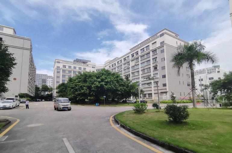 房东直租布吉坂田1000平至5000平一二楼厂房仓库出租分租